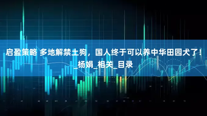 启盈策略 多地解禁土狗，国人终于可以养中华田园犬了！_杨娟_相关_目录