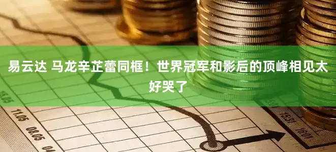 易云达 马龙辛芷蕾同框！世界冠军和影后的顶峰相见太好哭了